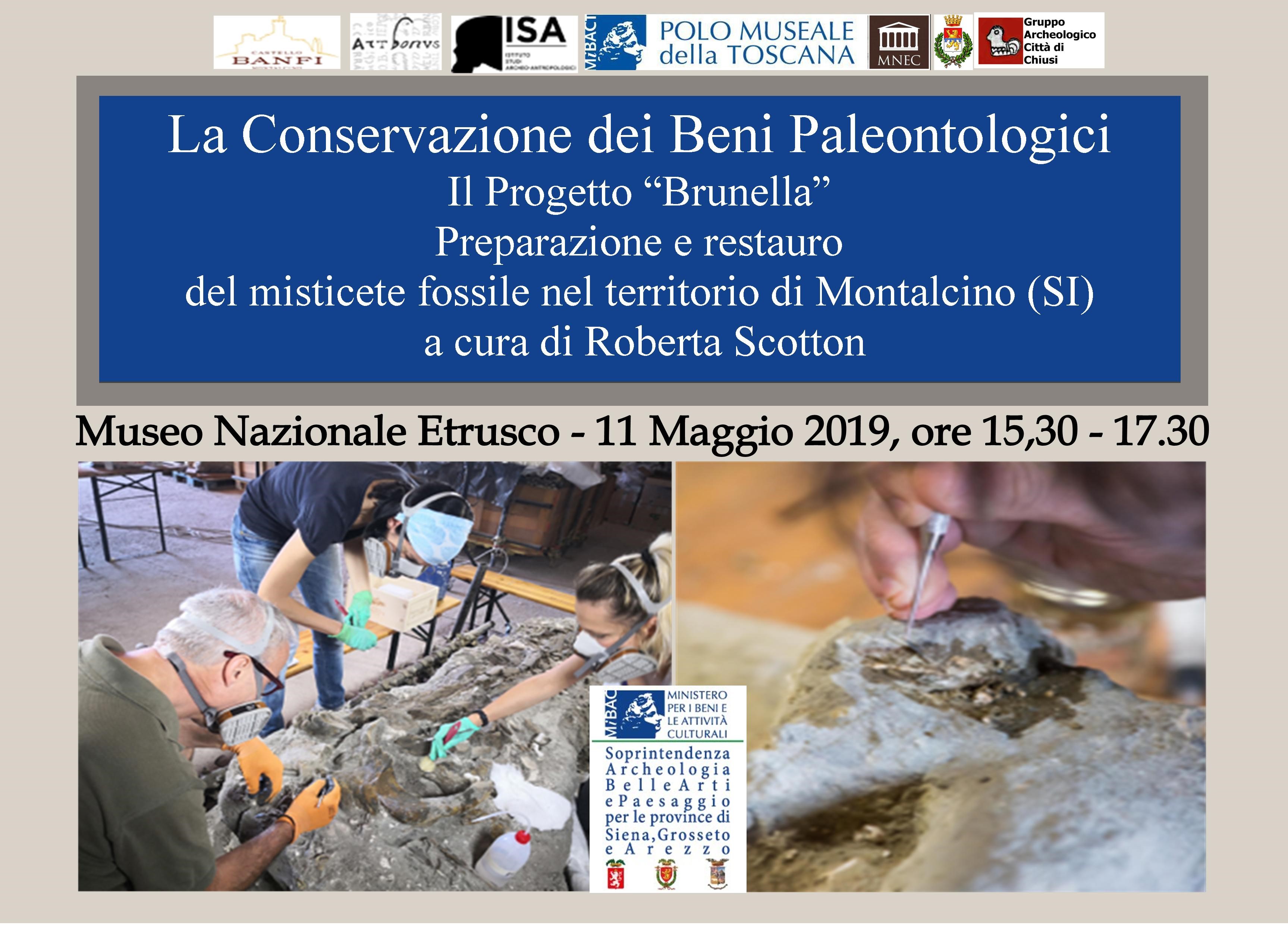 Chiusi (SI) – Museo Nazionale Etrusco. Conservazione dei Beni Paleontologici: il progetto “Brunella”