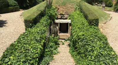 “Le passeggiate del venerdì”, aperture straordinarie del giardino monumentale e visite guidate tematiche alle sezioni del museo.