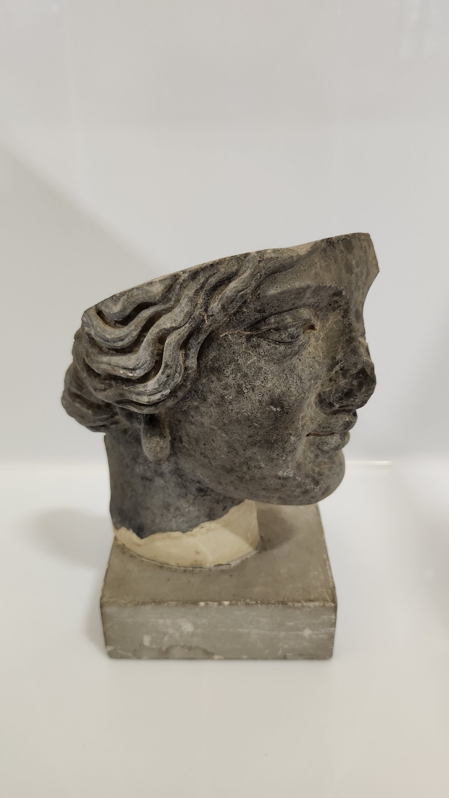 “Collezioni in movimento. Dai depositi all’esposizione”. Apertura straordinaria serale e visite guidate