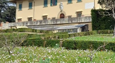 Visite tematiche alla scoperta delle orchidee spontanee precoci nel parco della Villa medicea della Petraia