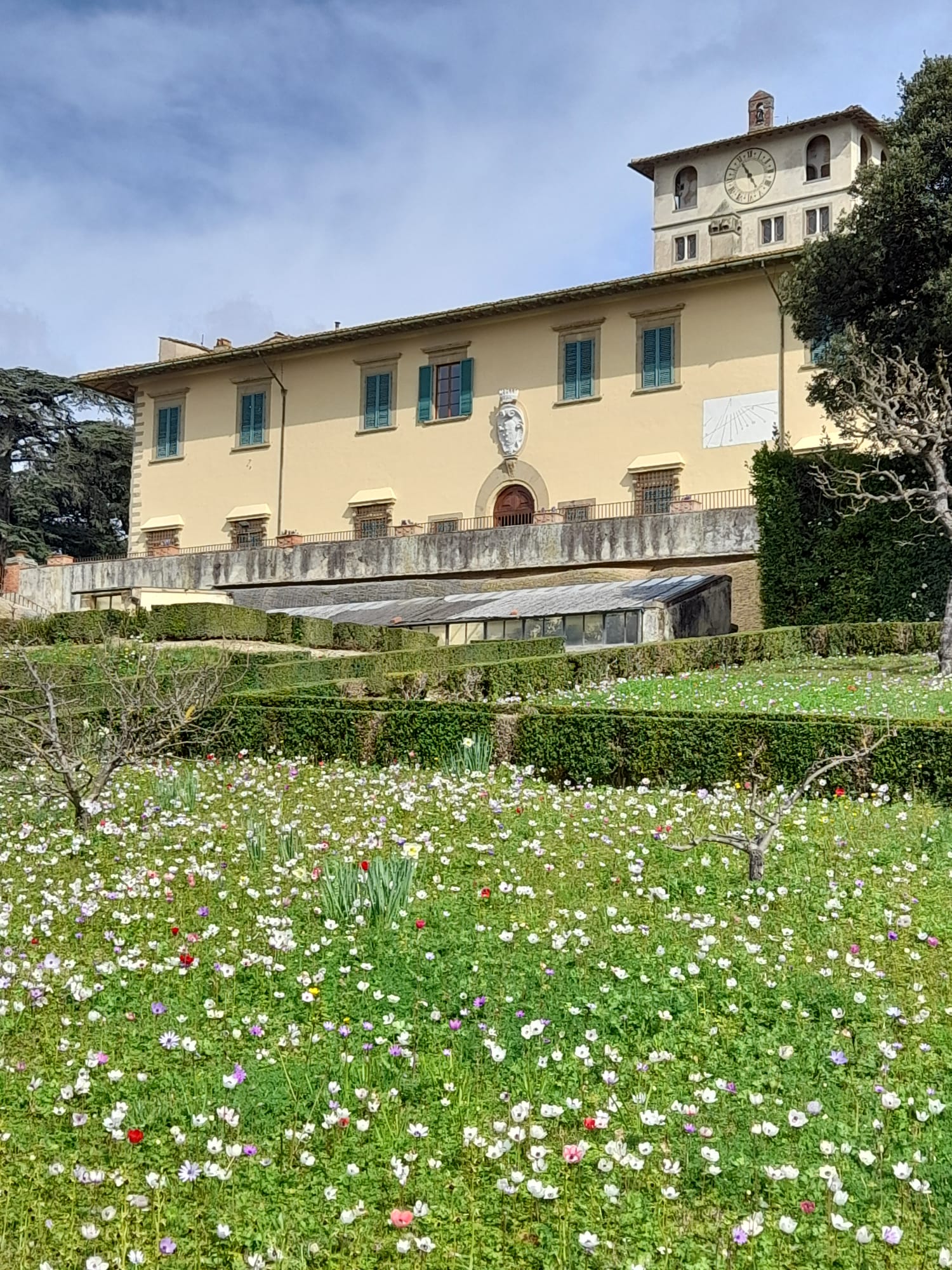 Visite tematiche alla scoperta delle orchidee spontanee precoci nel parco della Villa medicea della Petraia