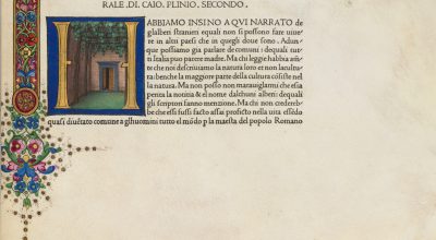 I pomeriggi dell’archeologico:  “Vini e vitigni del mondo romano: la classificazione di Plinio il Vecchio” una conferenza di Eva Falaschi.