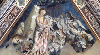 Aperture straordinarie serali e visite guidate tematiche