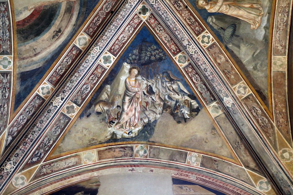 https://museitoscana.cultura.gov.it/wp-content/uploads/2026/07/Creazione-degli-animali-Niccolo-di-Tommaso-1372-circa-1-1-1024x683.jpg