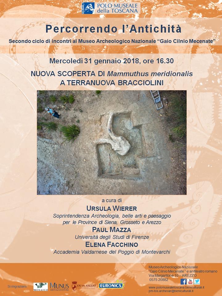 Arezzo – Museo Archeologico Nazionale “Gaio Cilnio Mecenate”. Percorrendo l’antichità 2017/2018 “Nuova scoperta di Mammuthus meridionalis a Terranuova Bracciolini”