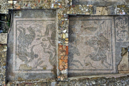 Mosaico della Domus di Roselle