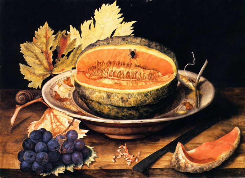 “Officina mirabilis” Oltre il giardino. Visita al Museo della natura morta e passeggiata nel Parco